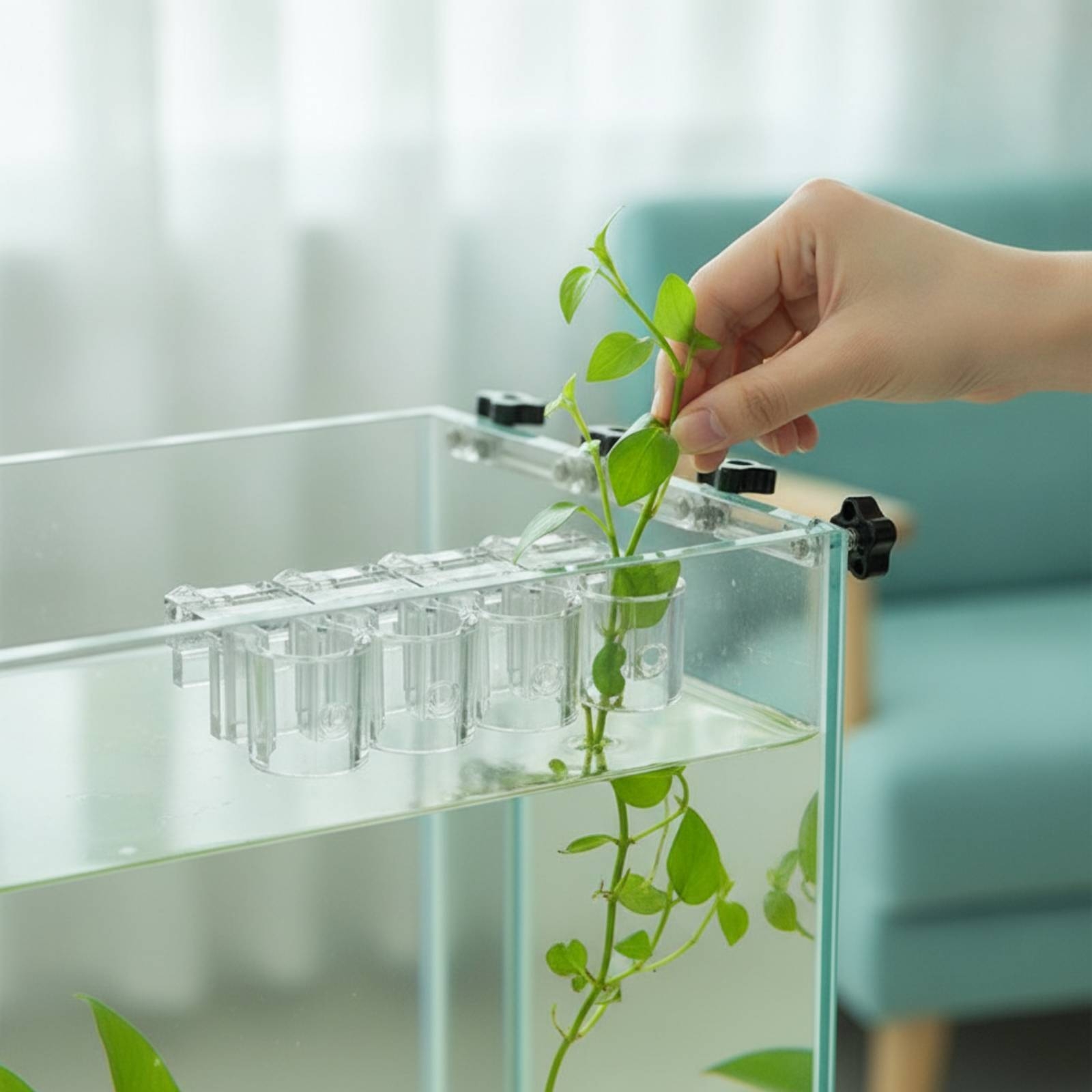 Aquarium Plants - 6 stuks Aquarium Planter Clear Hydroponic