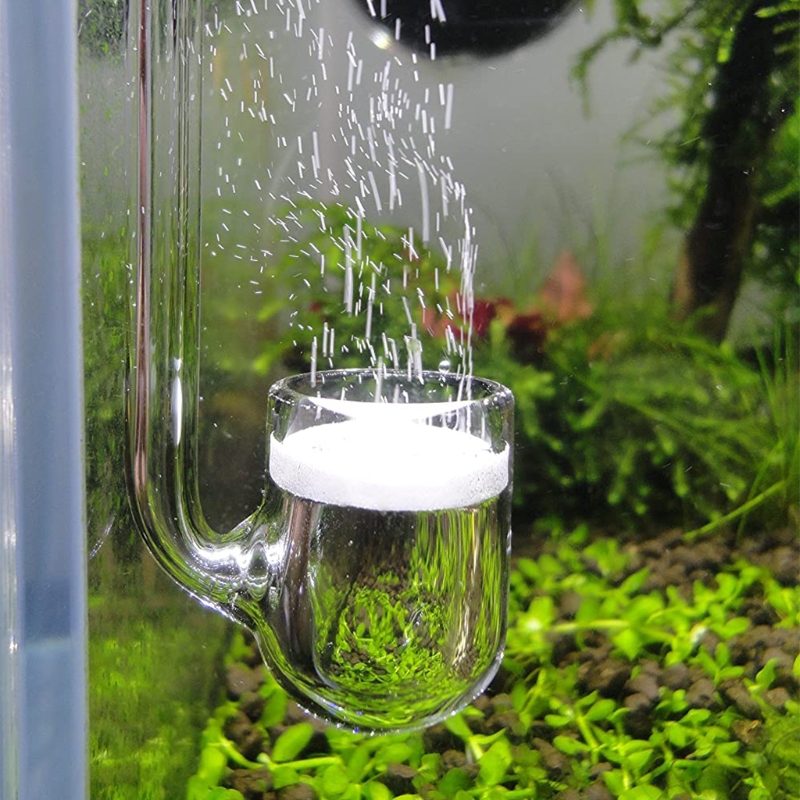 Planted Aquarium Co2 - D0AD Glazen CO2-diffusor voor aquarium, beplant