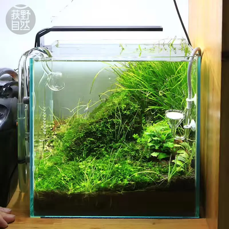 Aquarium Plant Diseases - Spiritedos C-serie ADA-stijl Plant Grow LED-licht