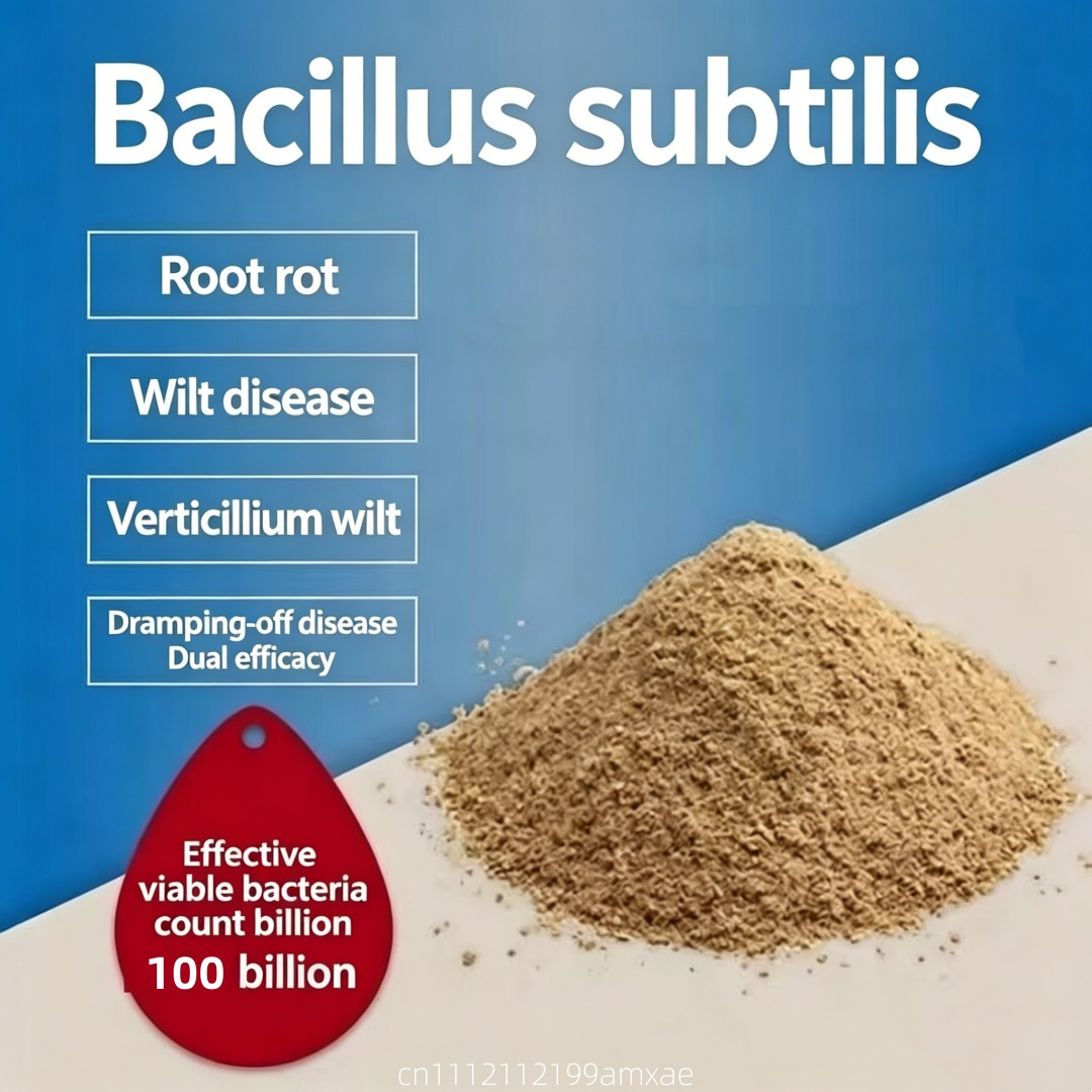 Aquarium Plant Diseases - Hoogactief Bacillus Subtilis poeder, organische probiotische