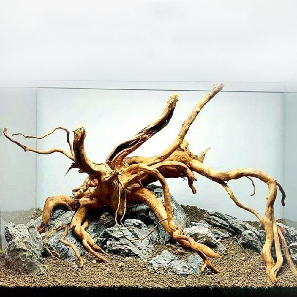 Planted Aquarium Media - 20-25CM Grote Aquarium Drijfhout Natuurlijke Visbak