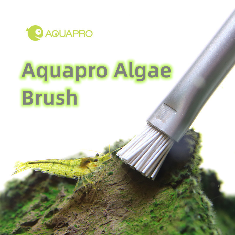 Planted Aquarium Ada - Aquapro Algen Borstel Aquarium Aquarium Landschapsarchitectuur