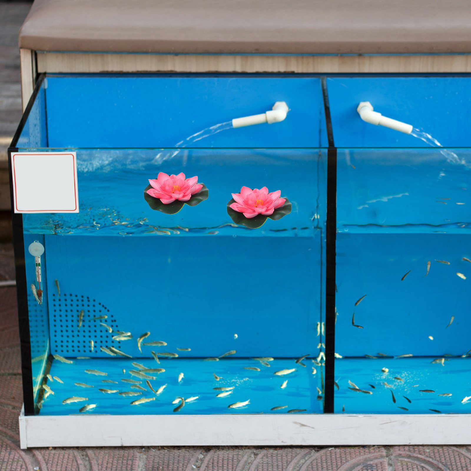12 stuks kunstmatige drijvende - Aquarium Plants recensie en prijs