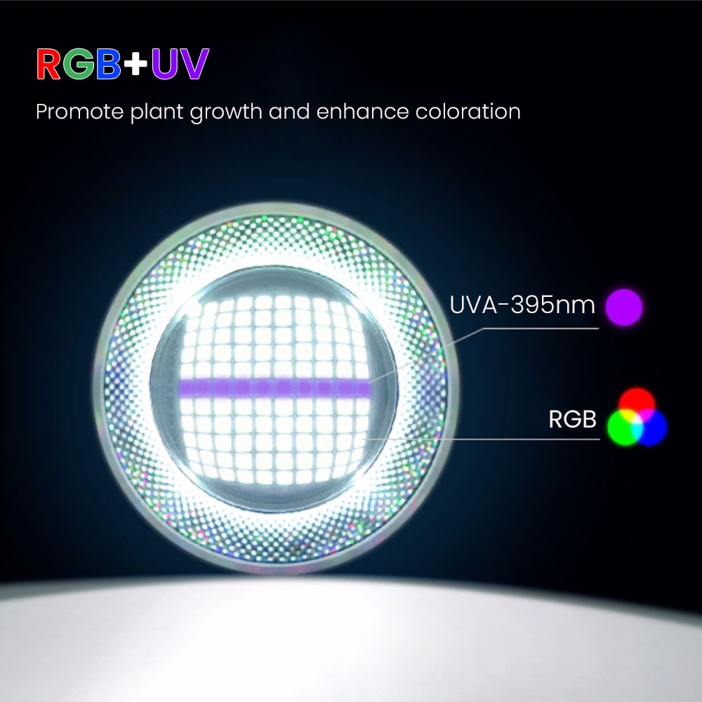 Volledig spectrum Bluetooth 3. - Aquarium Plants recensie en prijs