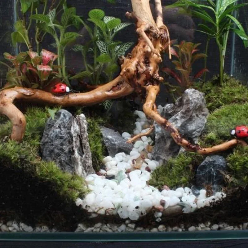 Natuurlijke Boomstam Drijfhout - Planted Aquarium Media recensie en prijs