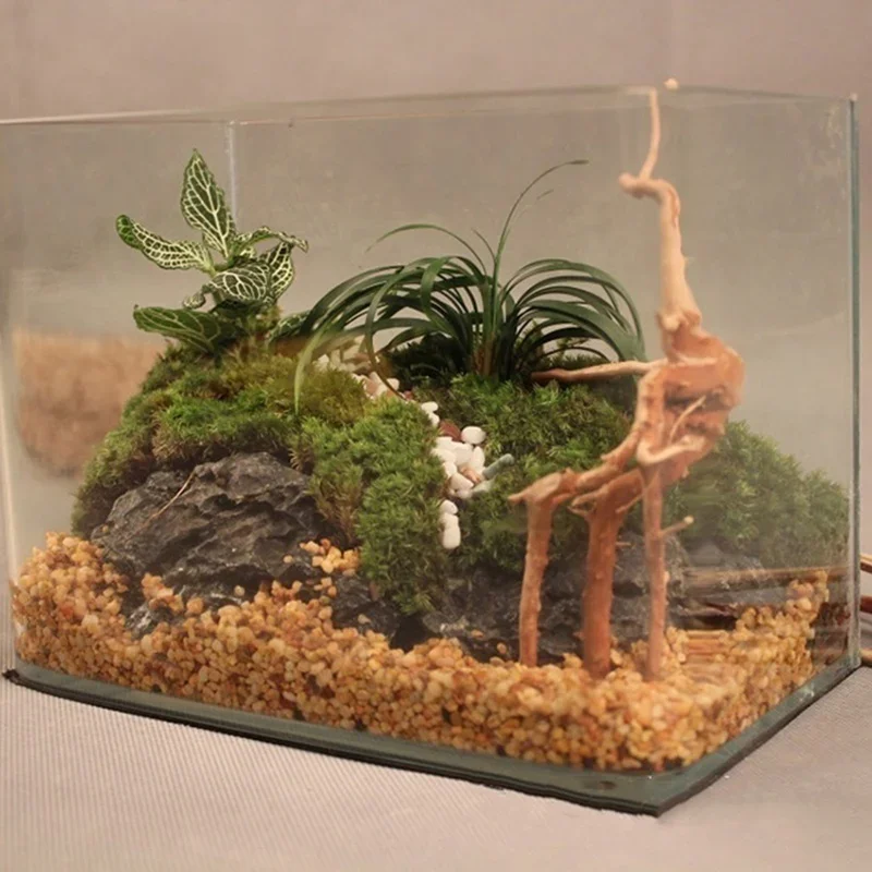 Natuurlijke Boomstam Drijfhout - Planted Aquarium Media recensie en prijs