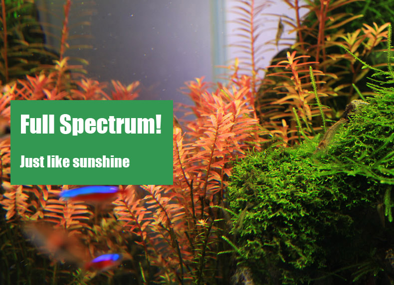 Chihiros C serie ADA stijl Pla - Planted Aquarium Ada recensie en prijs