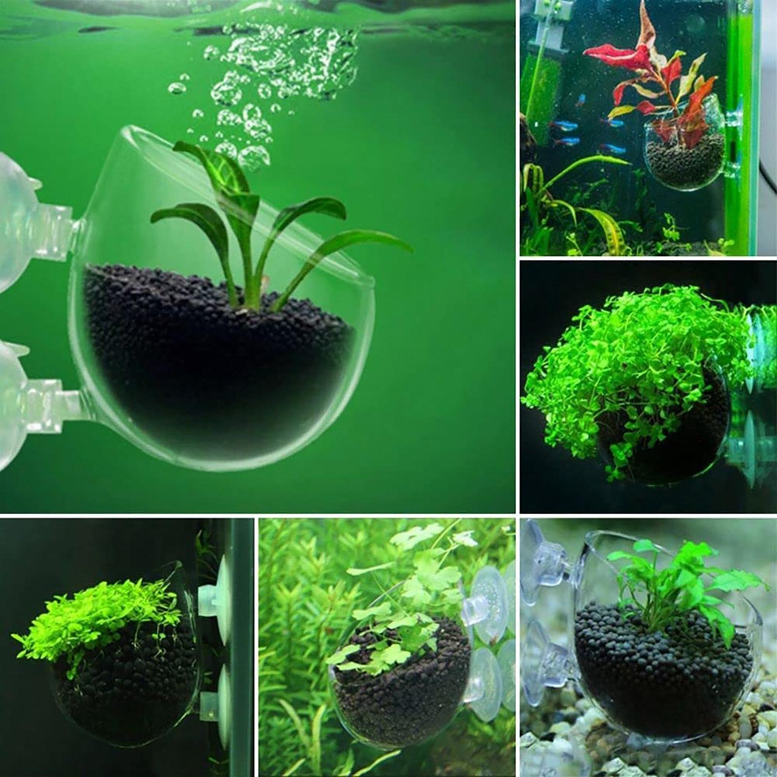 Aquariumdecoratie Plantenpot A - Aquarium Plant Utensils recensie en prijs