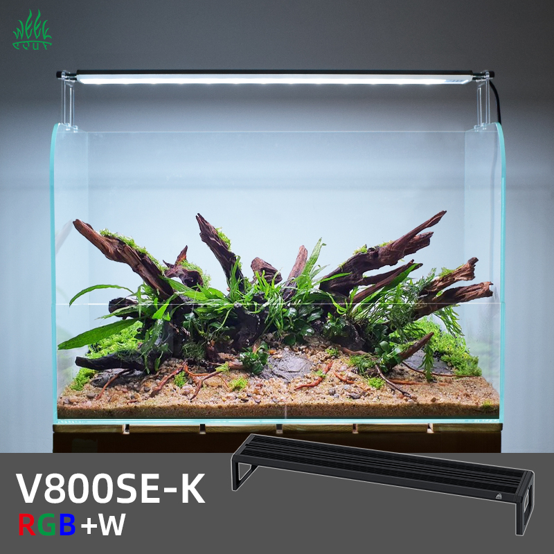 ZXY WEEK ADA Hetzelfde Type Wa - Planted Aquarium Ada recensie en prijs
