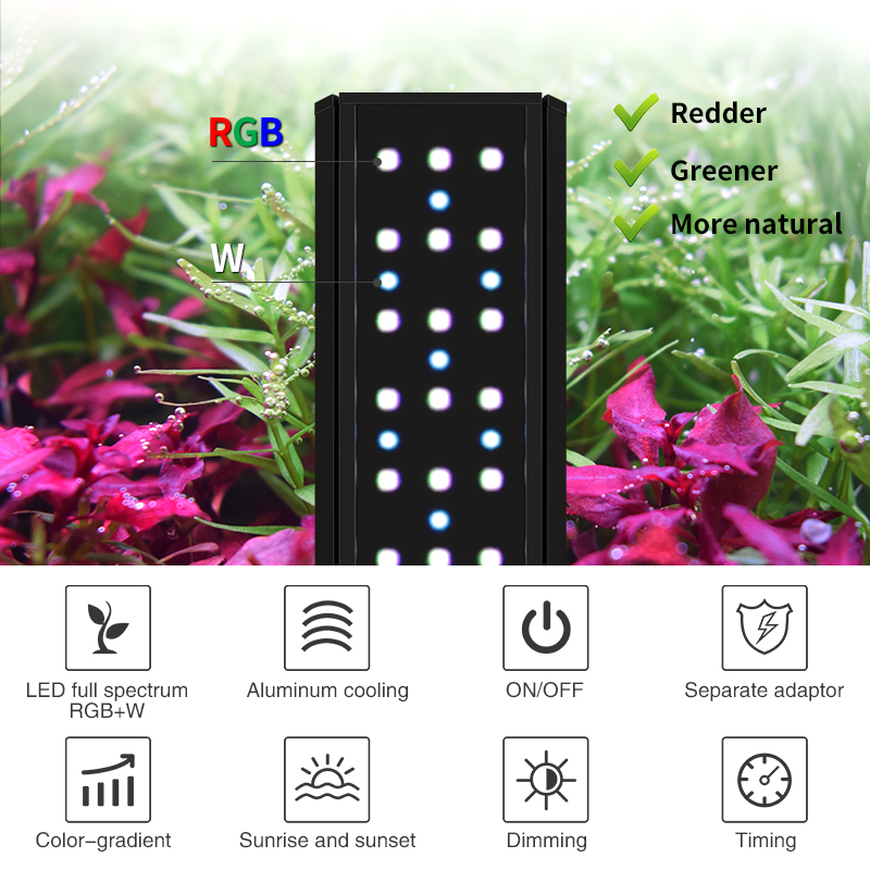 ZXY WEEK ADA Hetzelfde Type Wa - Planted Aquarium Ada recensie en prijs