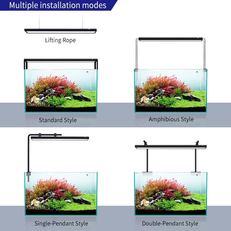 ZXY WEEK ADA Hetzelfde Type Wa - Planted Aquarium Ada recensie en prijs