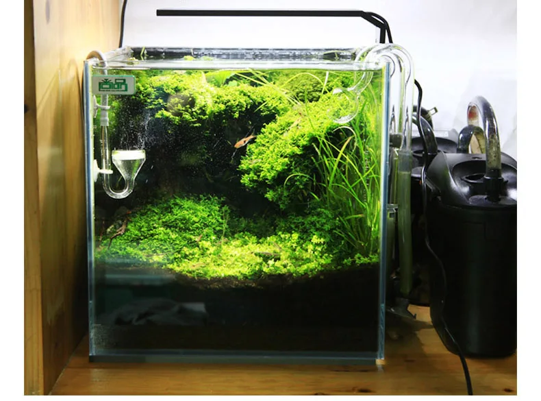 Spiritedos C-serie ADA-stijl P - Aquarium Plant Diseases recensie en prijs