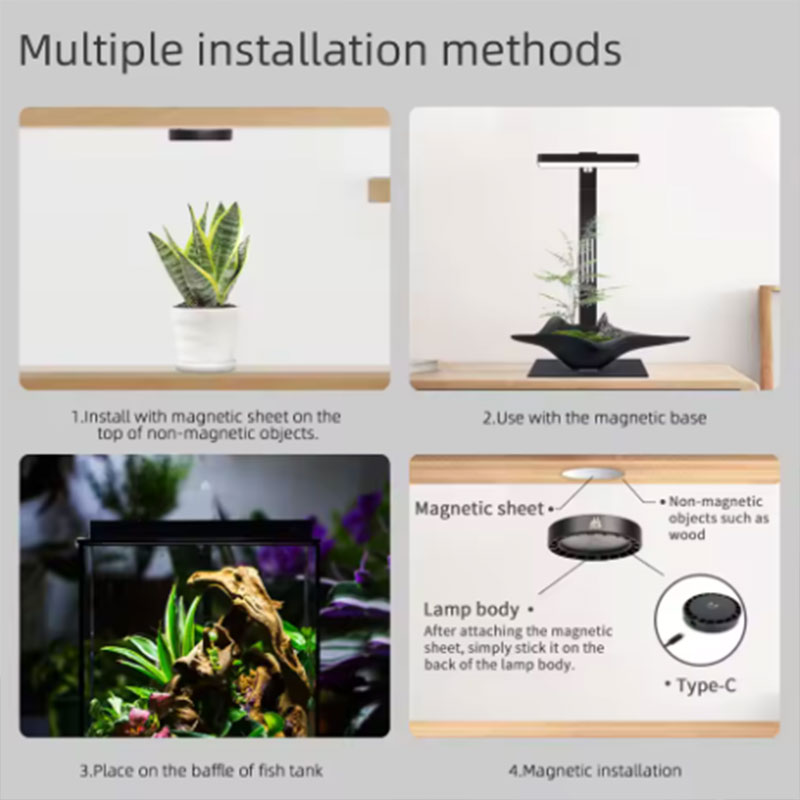 WEEK AQUA Mag Pro Mag Max Nano - Aquarium Plant Diseases recensie en prijs