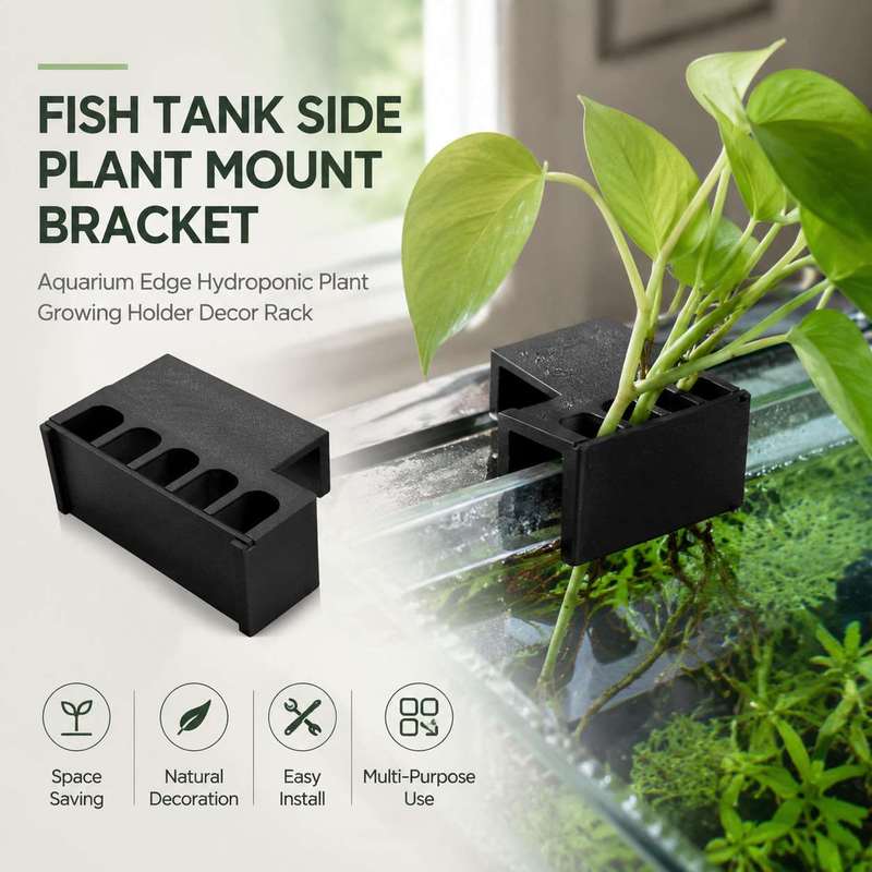 Aquarium zijbeugel voor plante - Aquarium Plant Diseases recensie en prijs