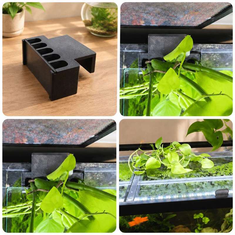 Aquarium zijbeugel voor plante - Aquarium Plant Diseases recensie en prijs