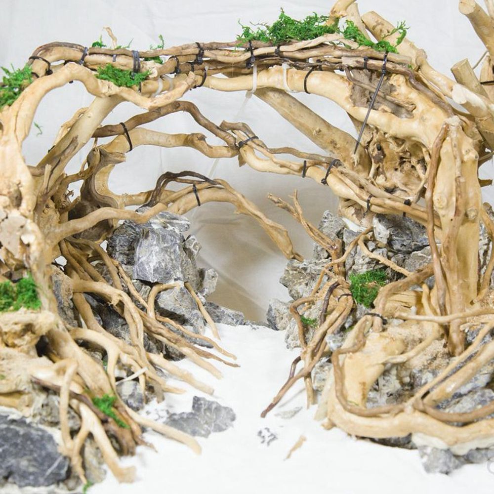 Hout N1N Landschapsarchitectuu - Aquarium Planted Wood recensie en prijs