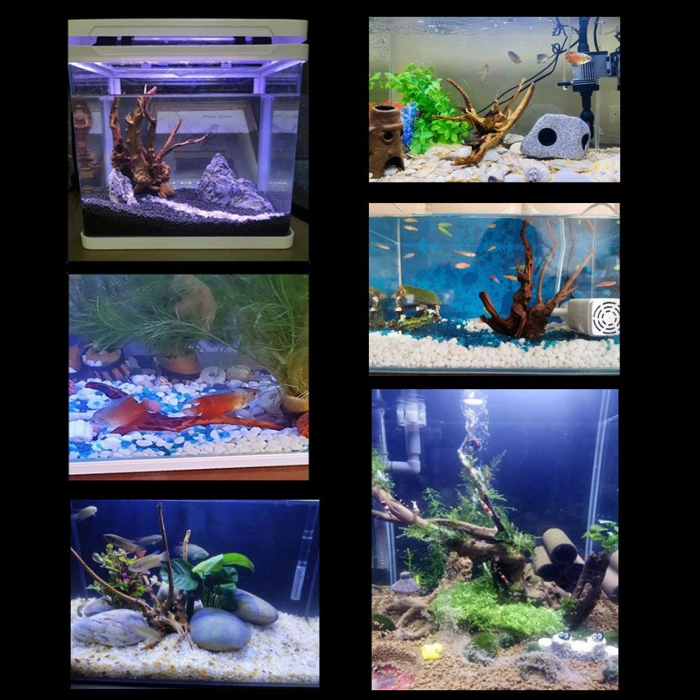 Natuurlijke Boomstam Aquarium  - Planted Aquarium Media recensie en prijs