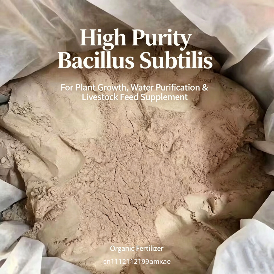 Hoogactief Bacillus Subtilis p - Aquarium Plant Diseases recensie en prijs