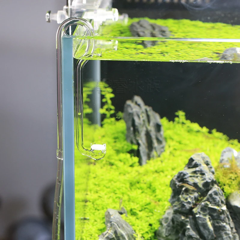 VIV BETTER LIFE CO2-systeem Di - Planted Aquarium Ada recensie en prijs