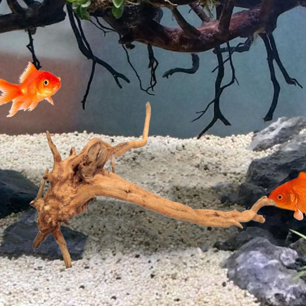 20-25CM Grote Aquarium Drijfho - Planted Aquarium Media recensie en prijs
