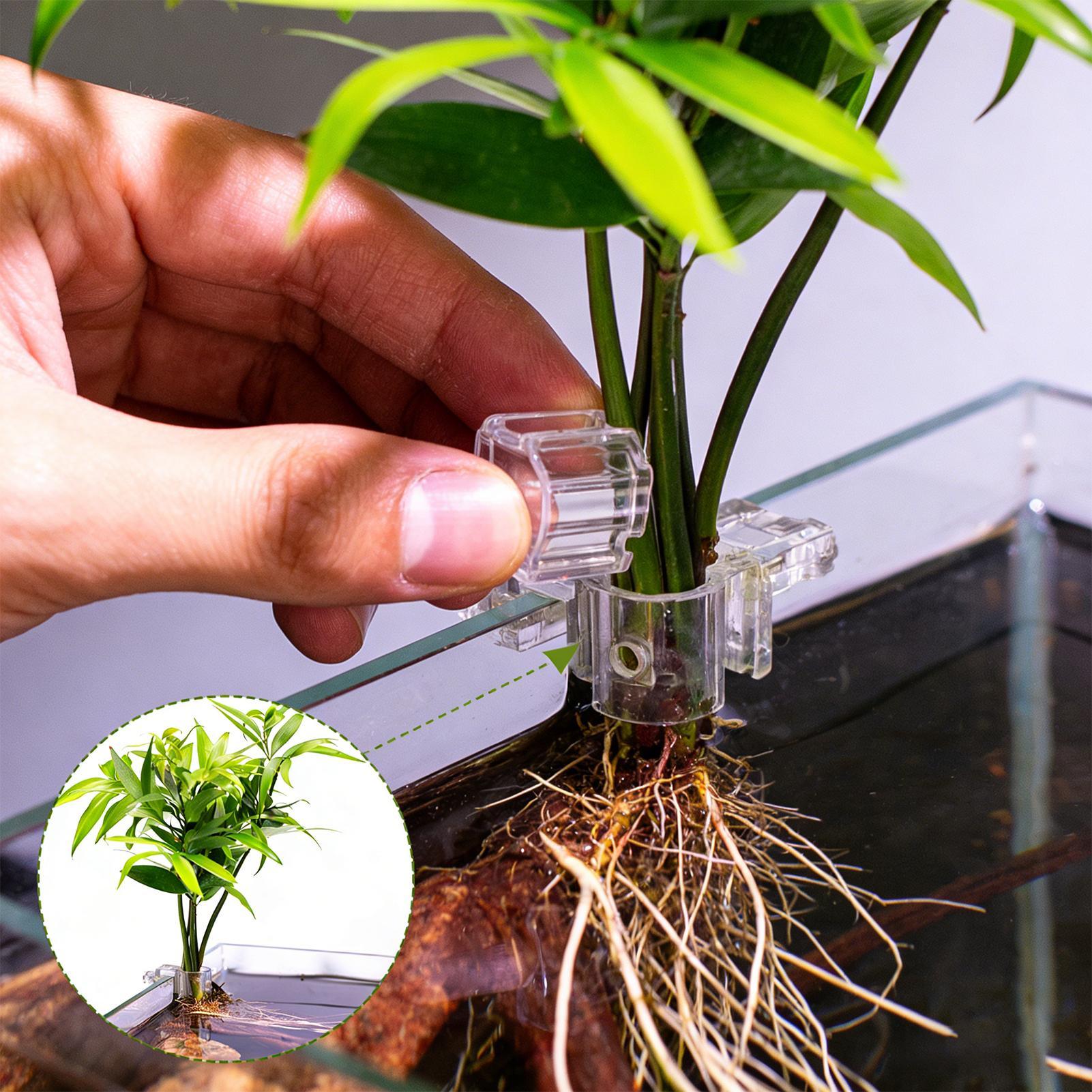 6 stuks aquariumplantenhouders - Aquarium Plant Diseases recensie en prijs