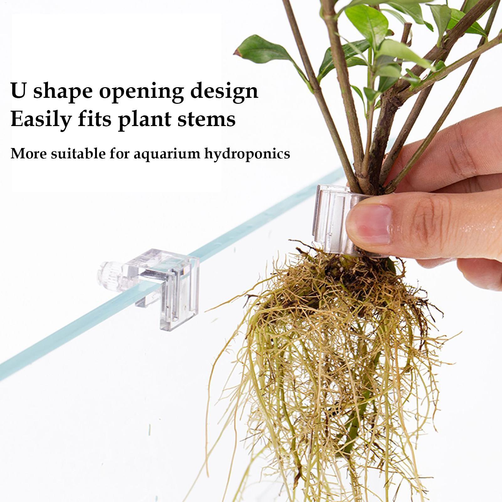 Visbak Plantenhouder 6 Stuks T - Aquarium Plant Diseases recensie en prijs