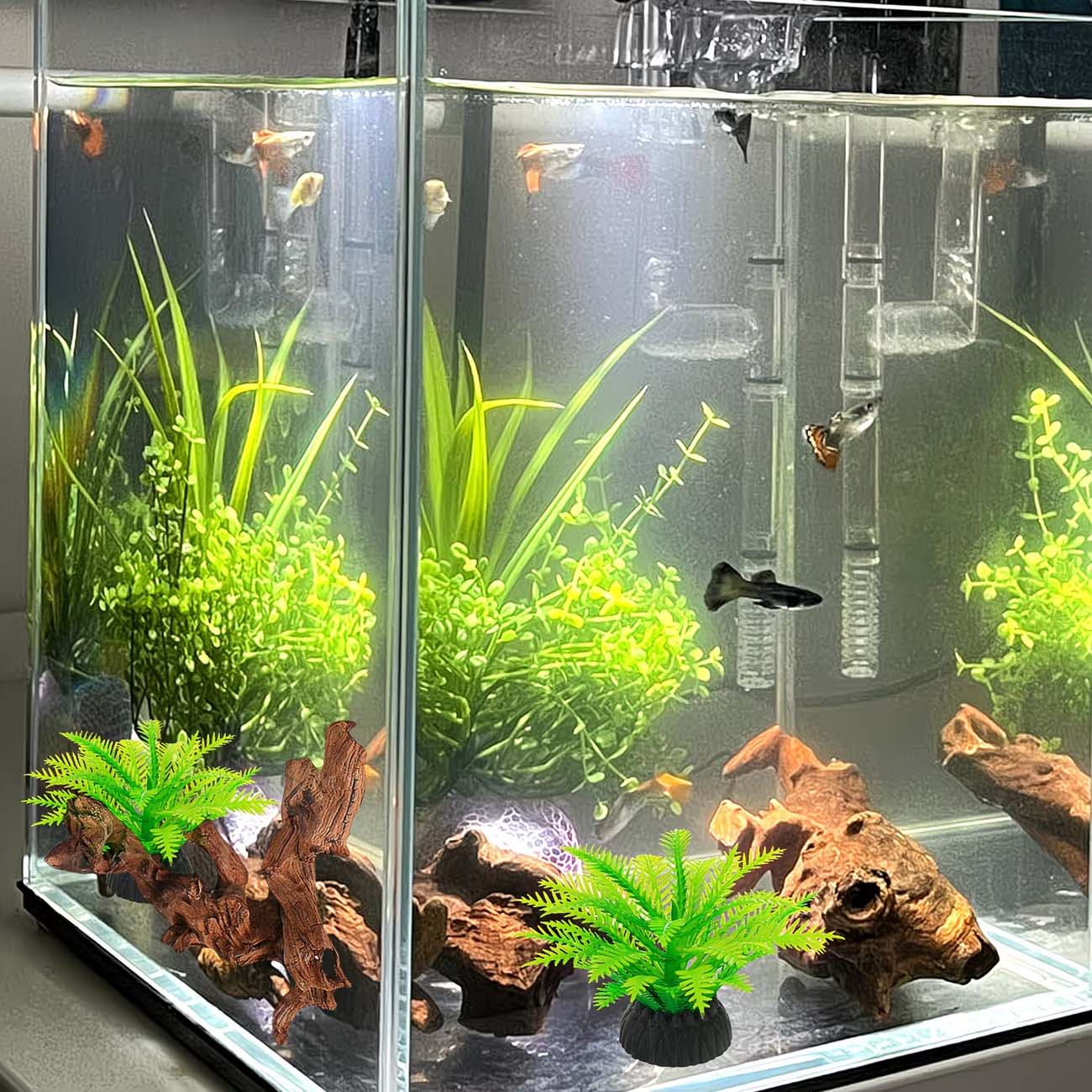 5-10CM Natuurlijk Zinkbaar Dri - Aquarium Planted Wood recensie en prijs